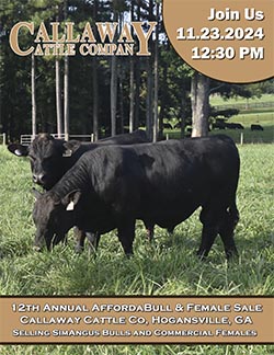 2024 Callaway Cattle.jpg